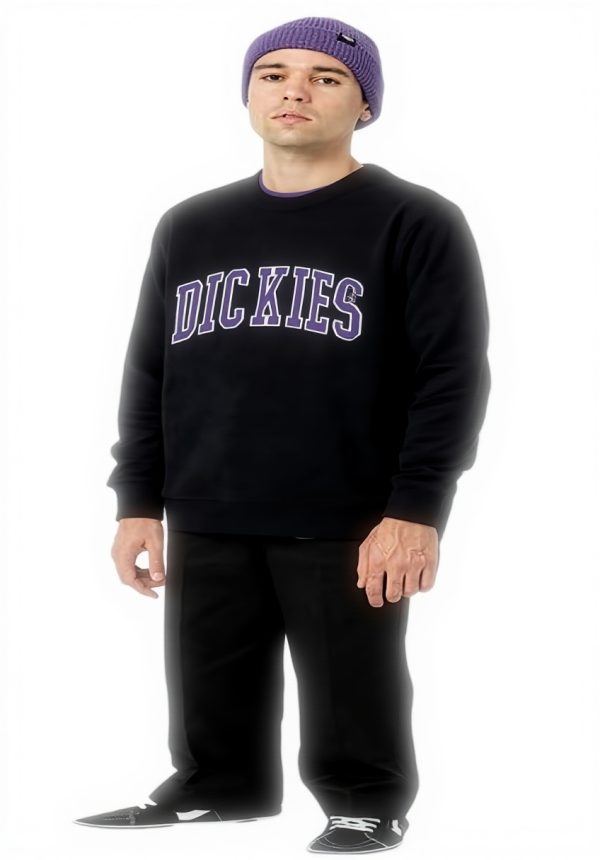 Felpa Dickies Uomo Nero Aitkin Sweat senza cappuccio