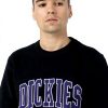 Felpa Dickies Uomo Nero Aitkin Sweat senza cappuccio