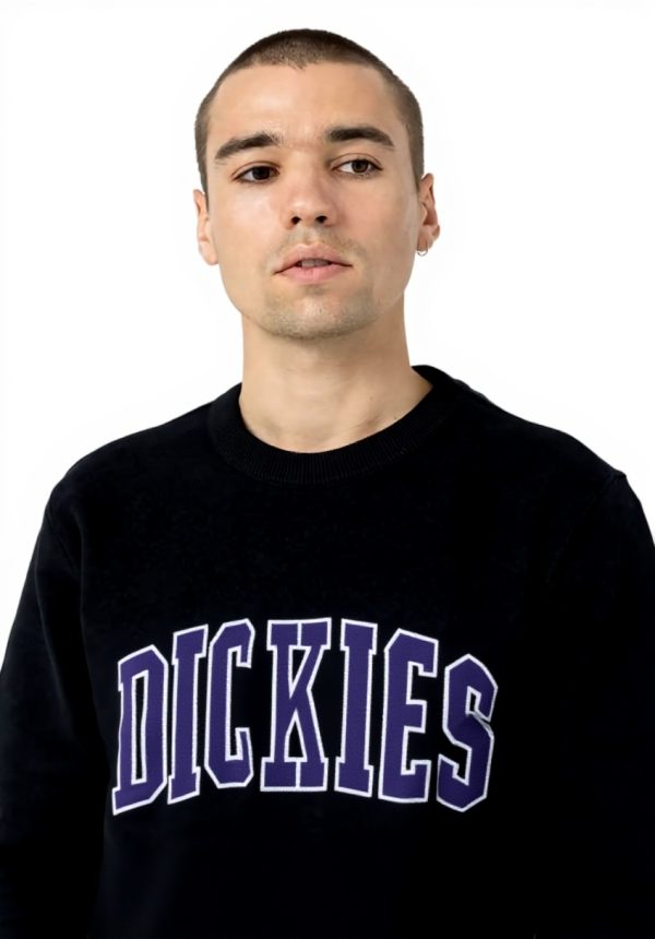 Felpa Dickies Uomo Nero Aitkin Sweat senza cappuccio