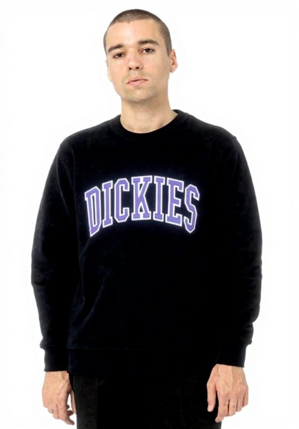 Felpa Dickies Uomo Nero Aitkin Sweat senza cappuccio