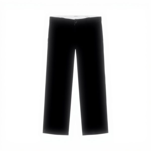 Pantaloni Dickies 247 Regular Work Uomo Cotone Nero