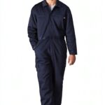dickies logo