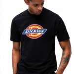 T-shirt Dickies uomo in cotone jersey girocollo-0