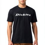 dickies arena