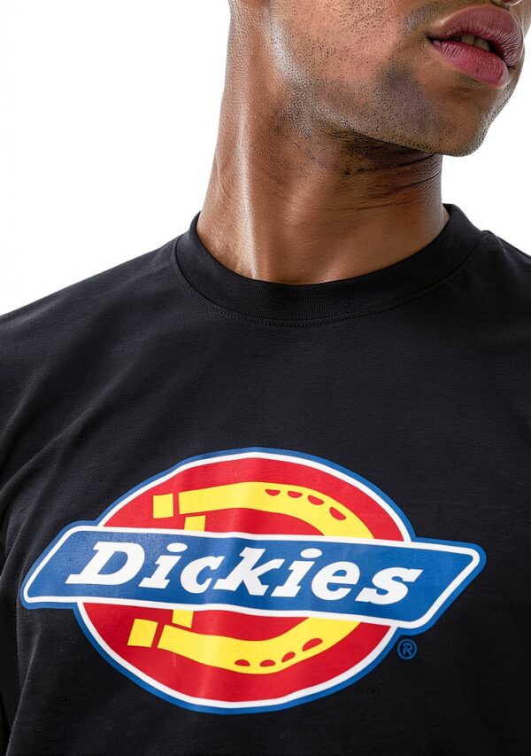 T-shirt Dickies uomo in cotone jersey girocollo-2