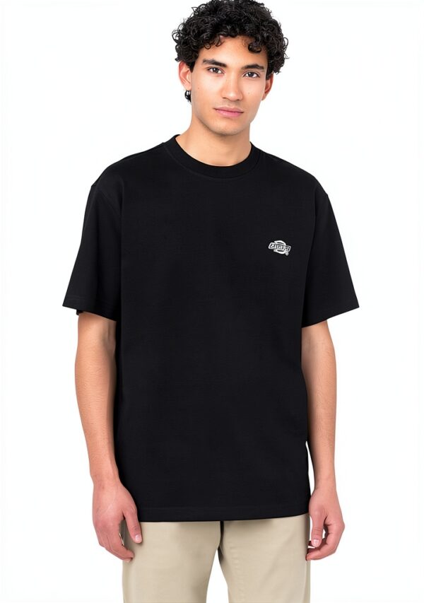 T-shirt Dickies Uomo Tinta Unità-0