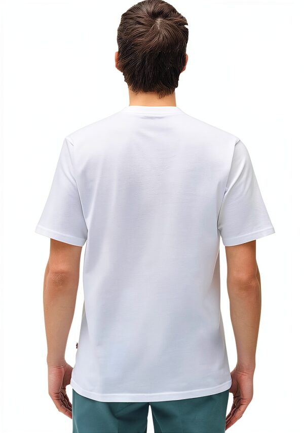 Dickies T-shirt uomo jersey cotone girocollo-2