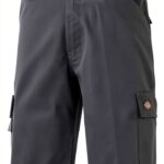 Dickies - Short Everyday, Pantaloncini Uomo-0