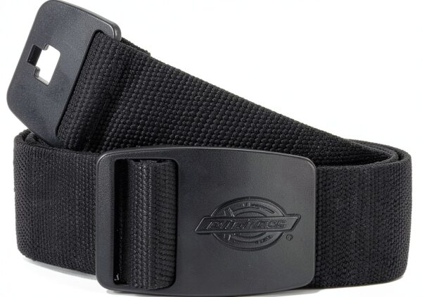 Dickies Unisex - Adulto, Cintura in tessuto con logo in rilievo, Nero, OS-0